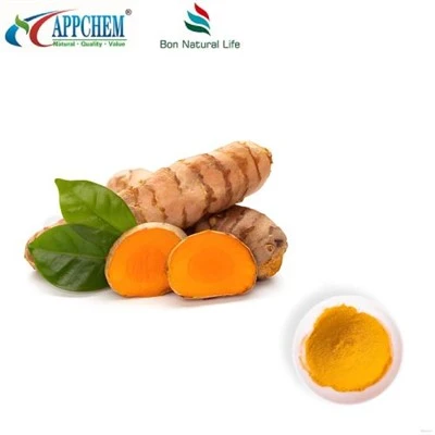 Curcumin -Pulver HPLC95%; Curcuminoide; Kurkuma -Extrakt