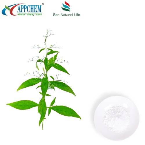 Andrographis Paniculata-Extrakt Andrographolid