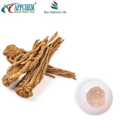 Angelica Sinensis-Extraktpulver