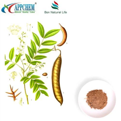 Cassia Nomame-Extrakt