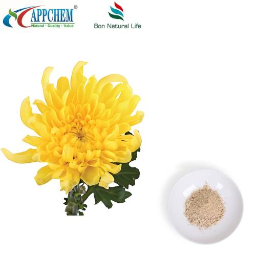 Flos Chrysanthemi-Extrakt-Pulver