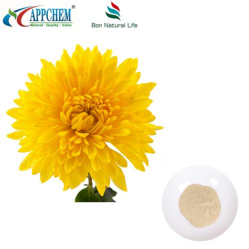 Flos Chrysanthemi-Extrakt
