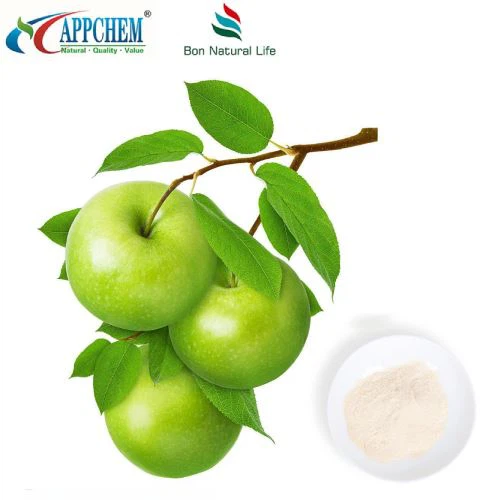 HPLC90 % Phloretin-Pulver COA TDS