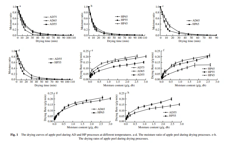 info-755-484 info-755-484