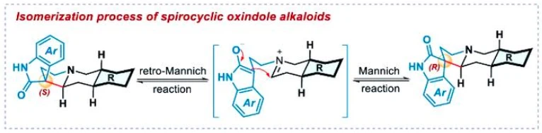 cat's claw extract active compounds cat's claw extract active compounds