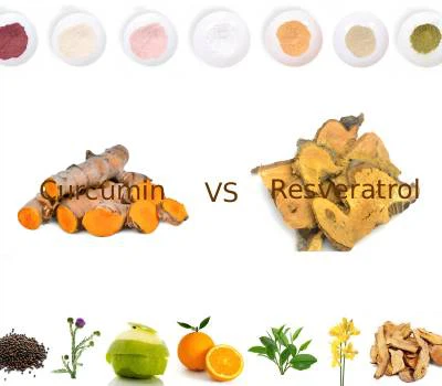 Curcumin vs. Resveratrol: Welches Polyphenol bietet einen größeren funktionel...