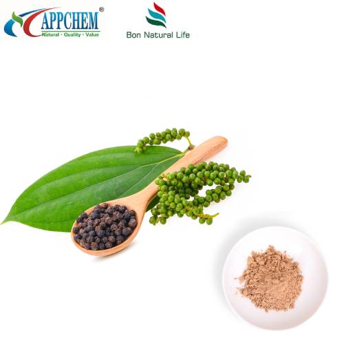 Ligustrum-Fruchtextrakt-Pulver