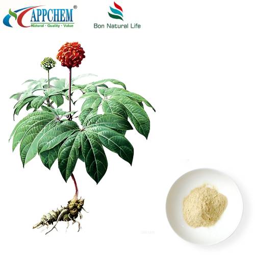 Notoginseng Radix Et Rhizoma-Extrakt