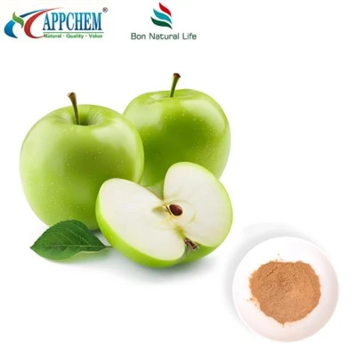 Apfelextrakt Procyanidin B2 HPLC-Test 29106-49-8