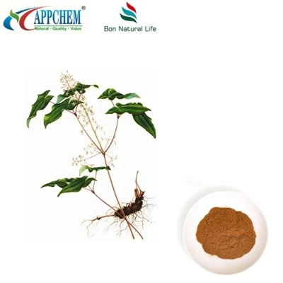 Epimedium-Extrakt-Pulver