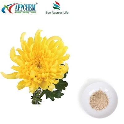 Flos Chrysanthemi-Extrakt-Pulver