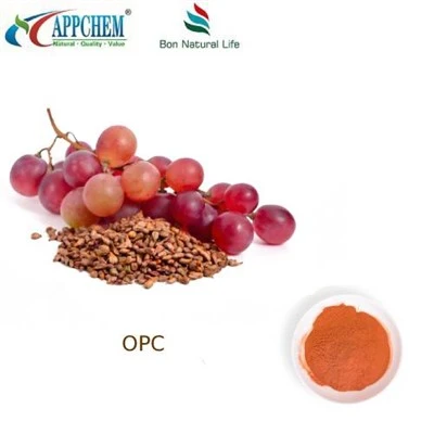 Traubenkernextrakt 95 OPC