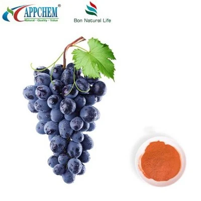 Traubenkernextrakt-Pulver 95 Polyphenole