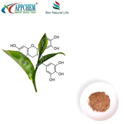 Grüntee-Extrakt-Polyphenol