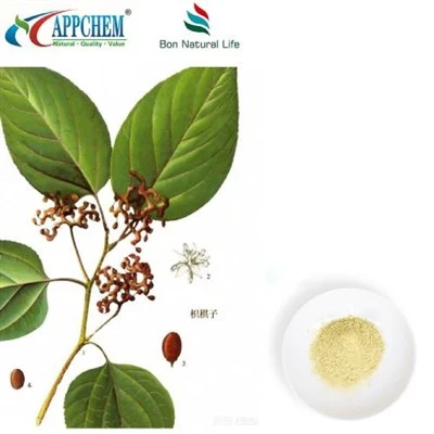 Hovenia Dulcis-Extraktpulver