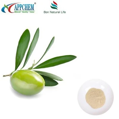 Hydroxytyrosol-Pulver