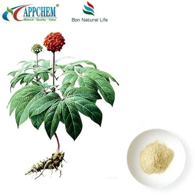 Notoginseng Radix Et Rhizoma-Extrakt