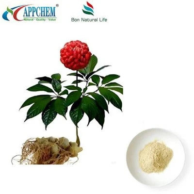 Notoginseng-Wurzelextrakt