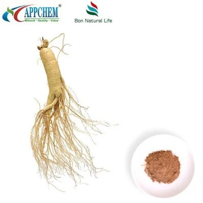 Panax Ginseng-Extrakt-Pulver