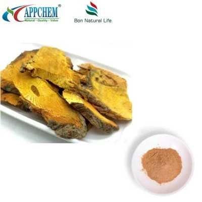 Resveratrol Polygonum Cuspidatum-Extraktpulver