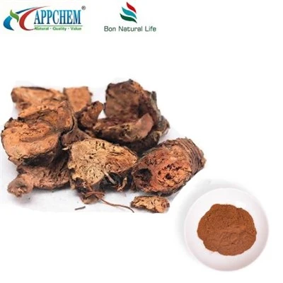 Rhodiola Rosea-Extraktpulver