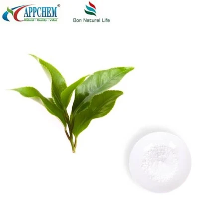 Reben-Tee. Dihydromyricetin